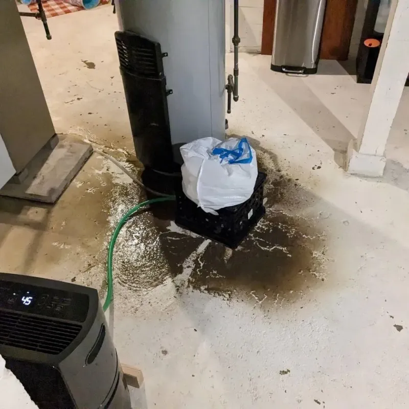 Sewage Backup Cleanup Service in Greencastle, PA
